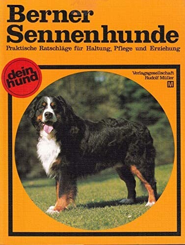 Berner Sennenhunde