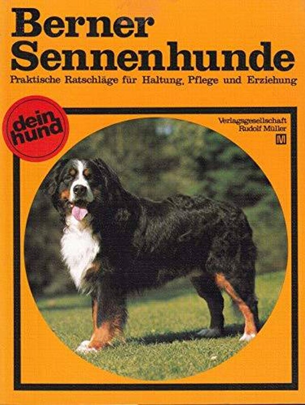 Berner Sennenhunde