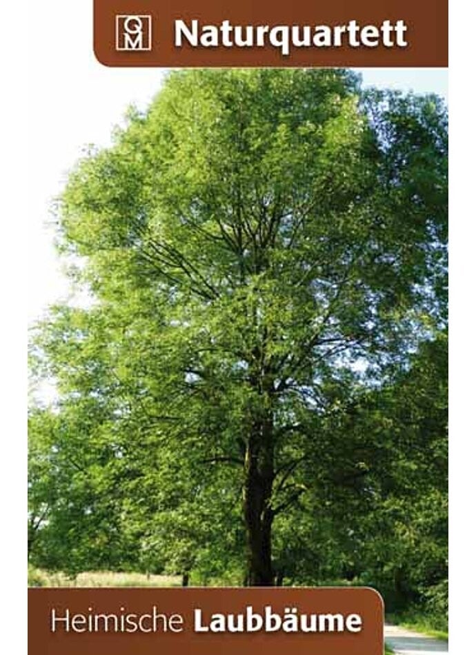 Naturquartett "Heimische Laubbäume"