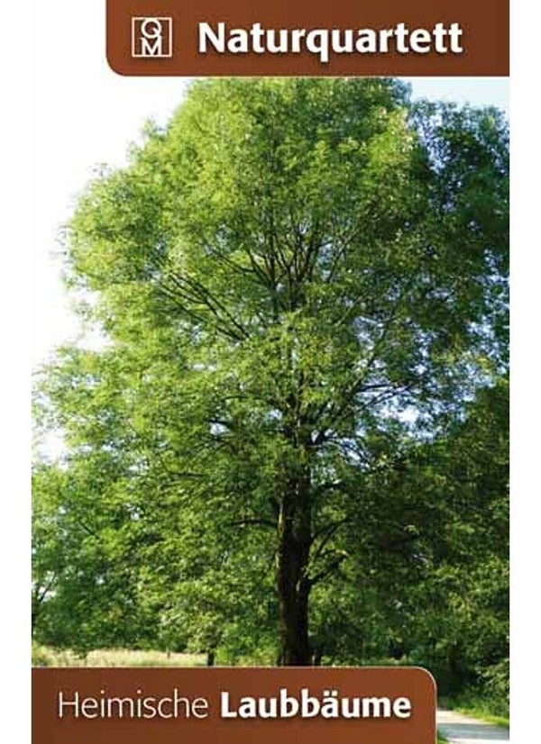 Naturquartett "Heimische Laubbäume"