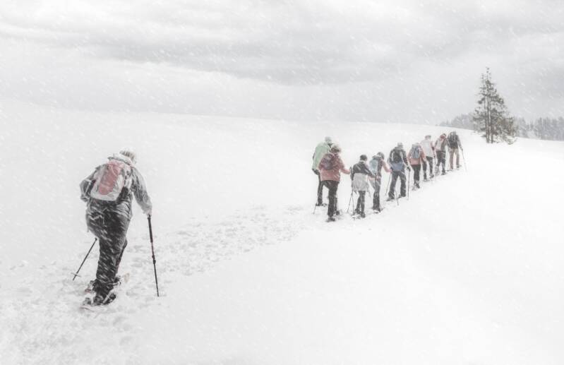 Platz 1 Gold: Schneewanderung Ingrid Kronthaler, Würzburg