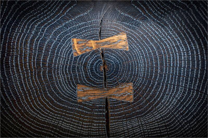 Platz 2 Silber: Zusammenhalt Hans-Georg Barsch,  Würzburg