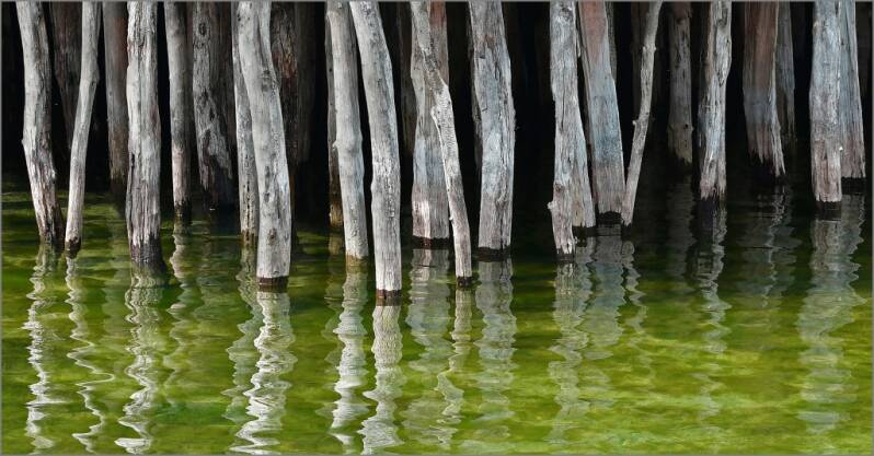 Platz 3 Bronze: Auf Pfählen Ulrich Weniger,  Sigmaringen