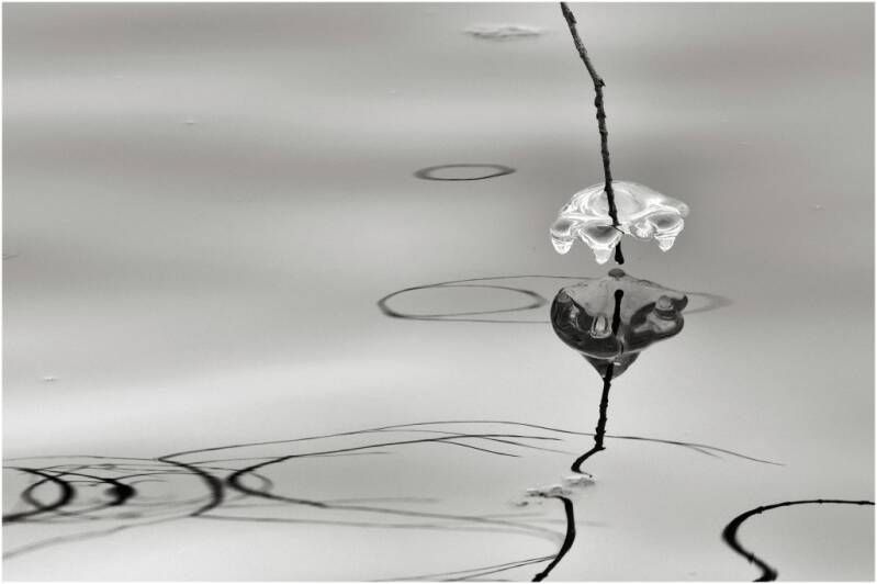 Platz 4 Urkunde: Eisklumpen Wolfgang Bauer, Kempten