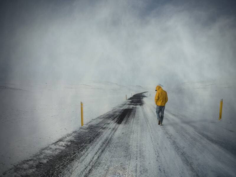 Platz 5 Urkunde: eisig Carola Becker, Würzburg