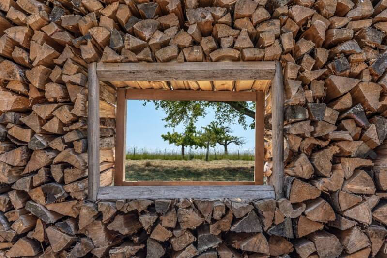 Platz 6 Annahme: DIT - Natur-Fernsehen Dieter Tauschke,  Duisburg