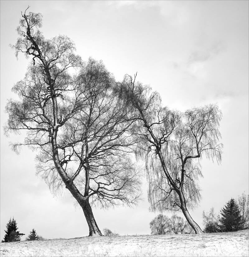 Urkunde, Duo sur neige Anne Marie Houriez Frankreich