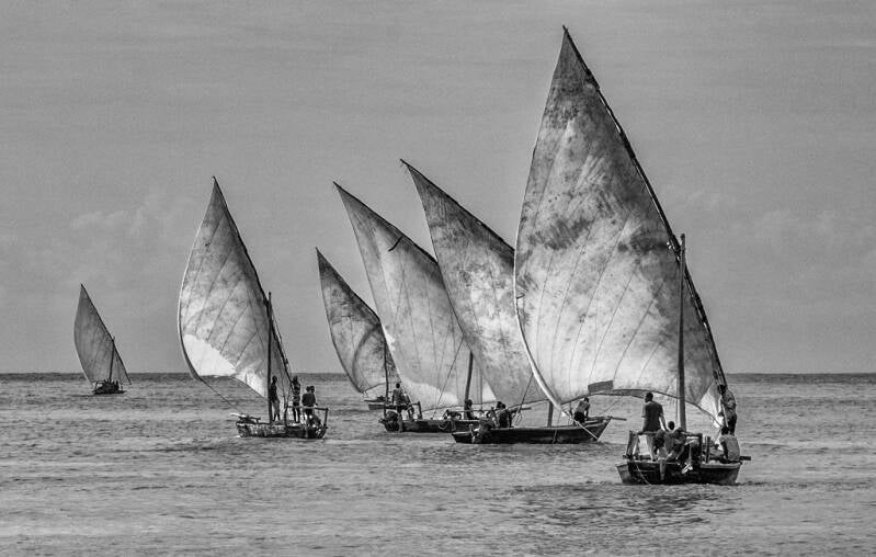Urkunde, Fischerboote Elmar Restle Deutschland