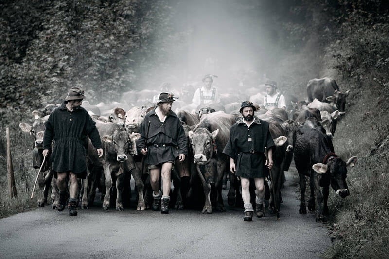 Annahme: Elisabeth Schall-Christl– Viehscheid, Deutschland