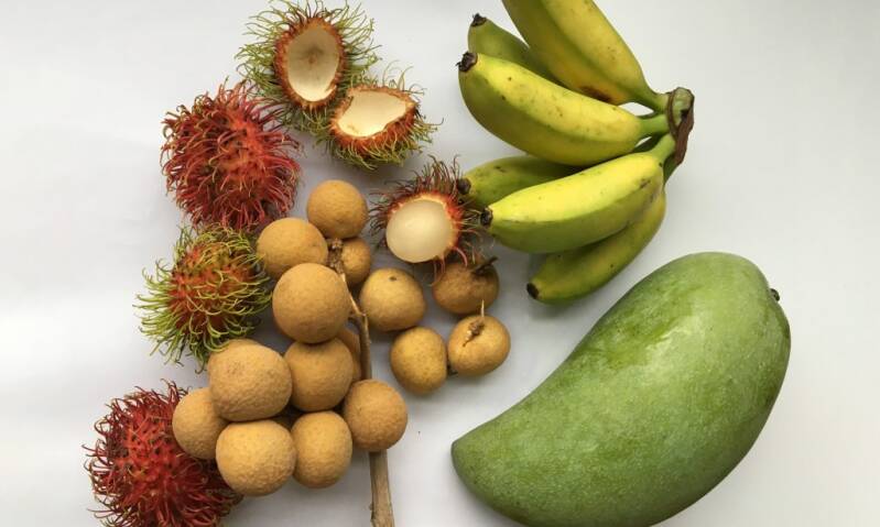 Gold: Bangkok Martina Schrenk, Rottweil