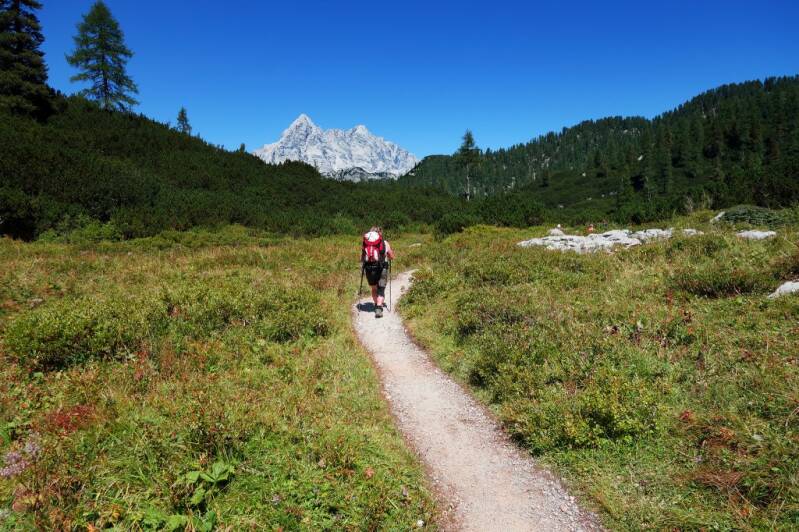 Gold: Das Naturwunder Rainer Kuhn, Reutlingen