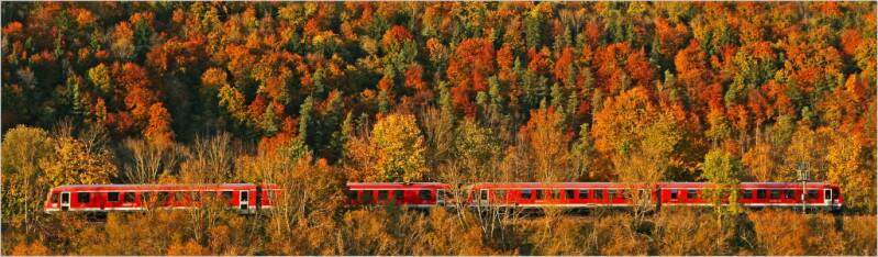 Urkunde: Herbstfahrt Hartmut Wentz, Sigmaringen