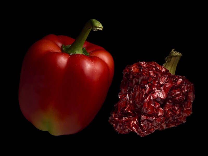 Annahme: Side by side, Lasse Kiesow Hamburg Altona