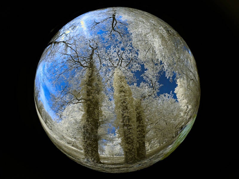 Gold: Farbige Kugel, Bruno Braun Frankfurt am Main