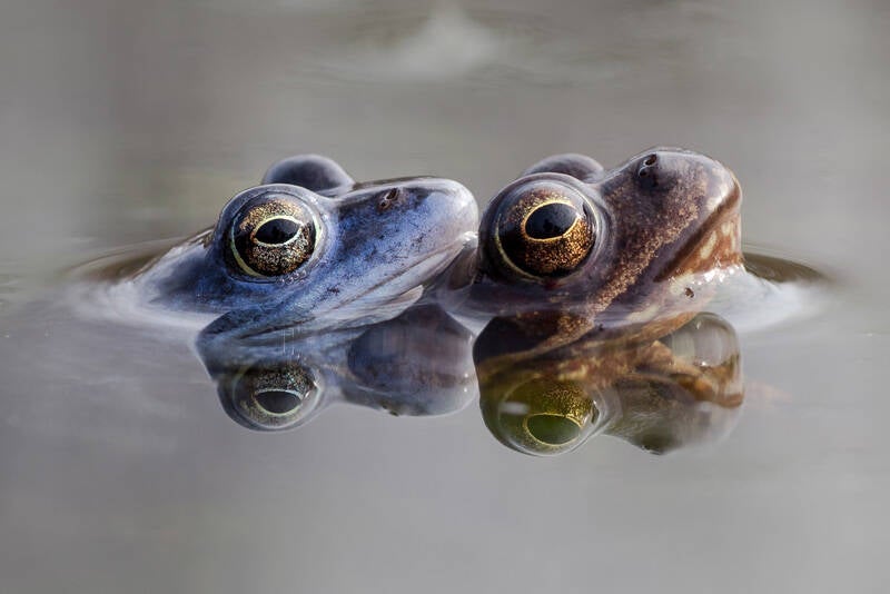 Annahme: Markus Bierschenk, 4 Augen Worms