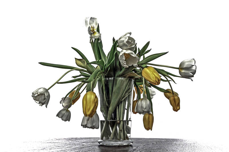 Urkunde: Verwelkt, Klaus Eppele Karlsruhe