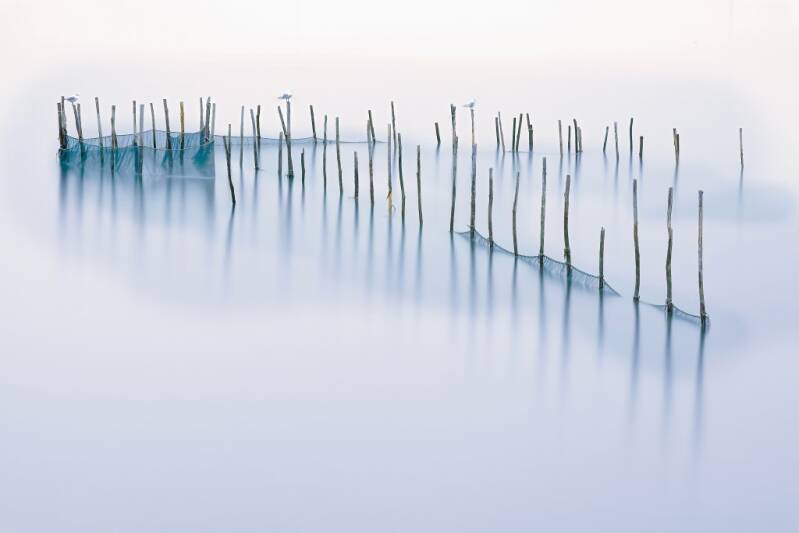 Gold: In der Lagune Heinrich Flieger, Weiden