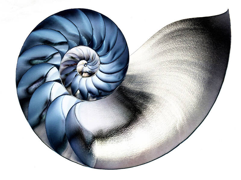 Gold: Monika Seidl – Muschel, Deutschland