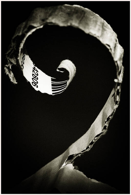 Goldene Spirale Walter Kaub