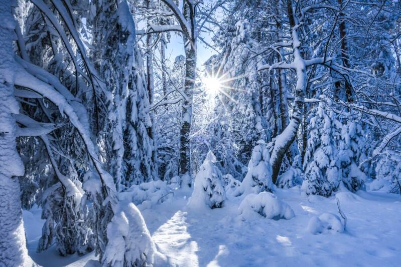 Bronze: Just Another Morning Martina Schrenk, Rottweil