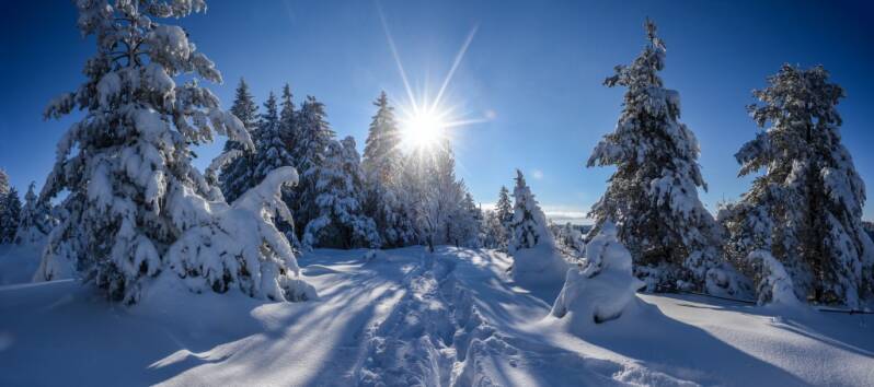 Bronze: Just Another Morning Martina Schrenk, Rottweil