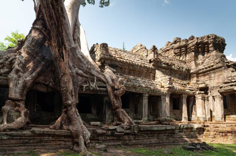 Urkunde: urge Wald ten Manfred Oberg, Villingen-Schwenningen