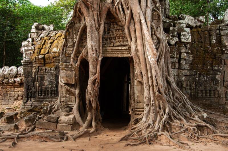 Urkunde: urge Wald ten Manfred Oberg, Villingen-Schwenningen