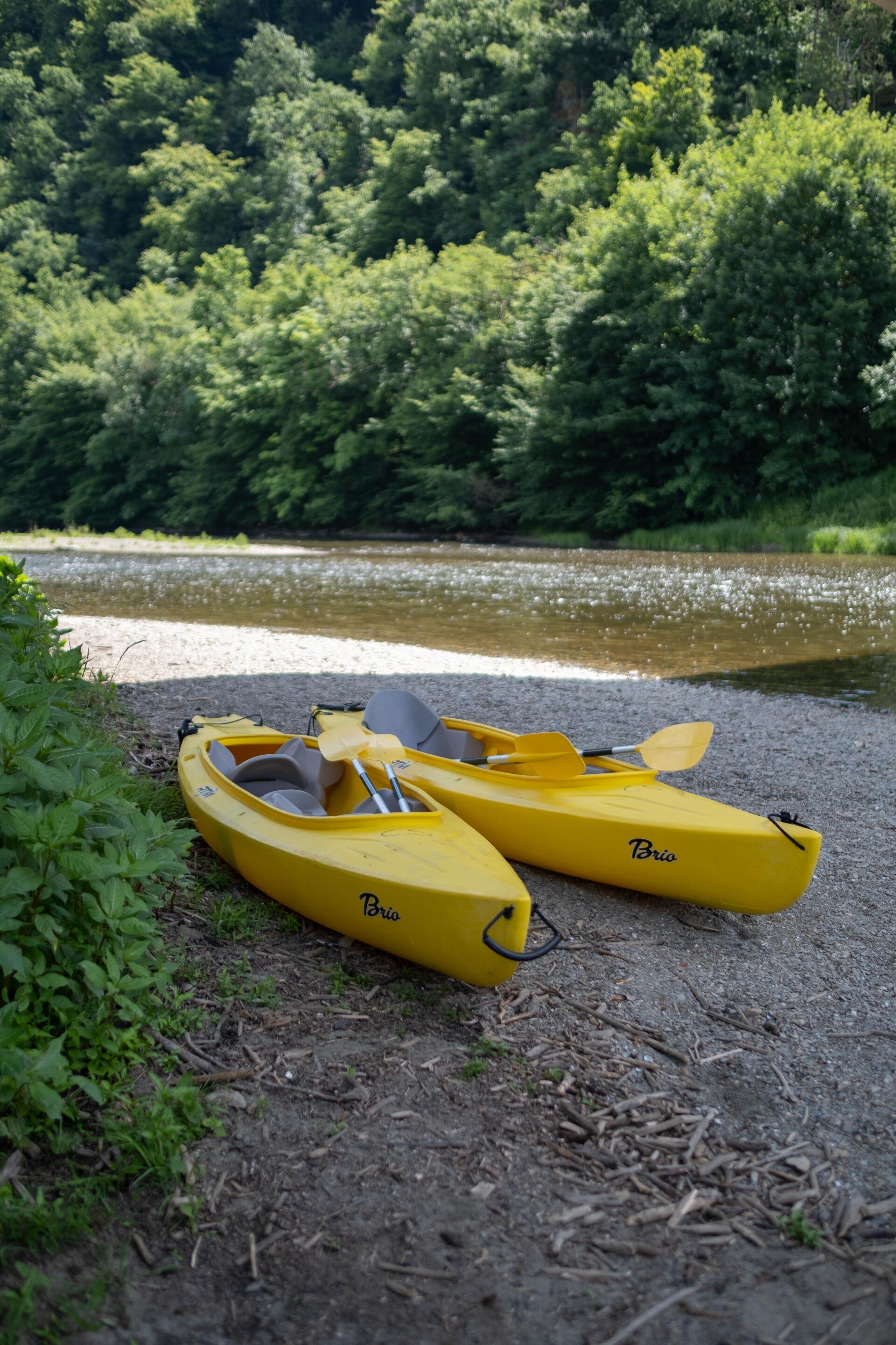 Kajaks op de oevers van de Semois