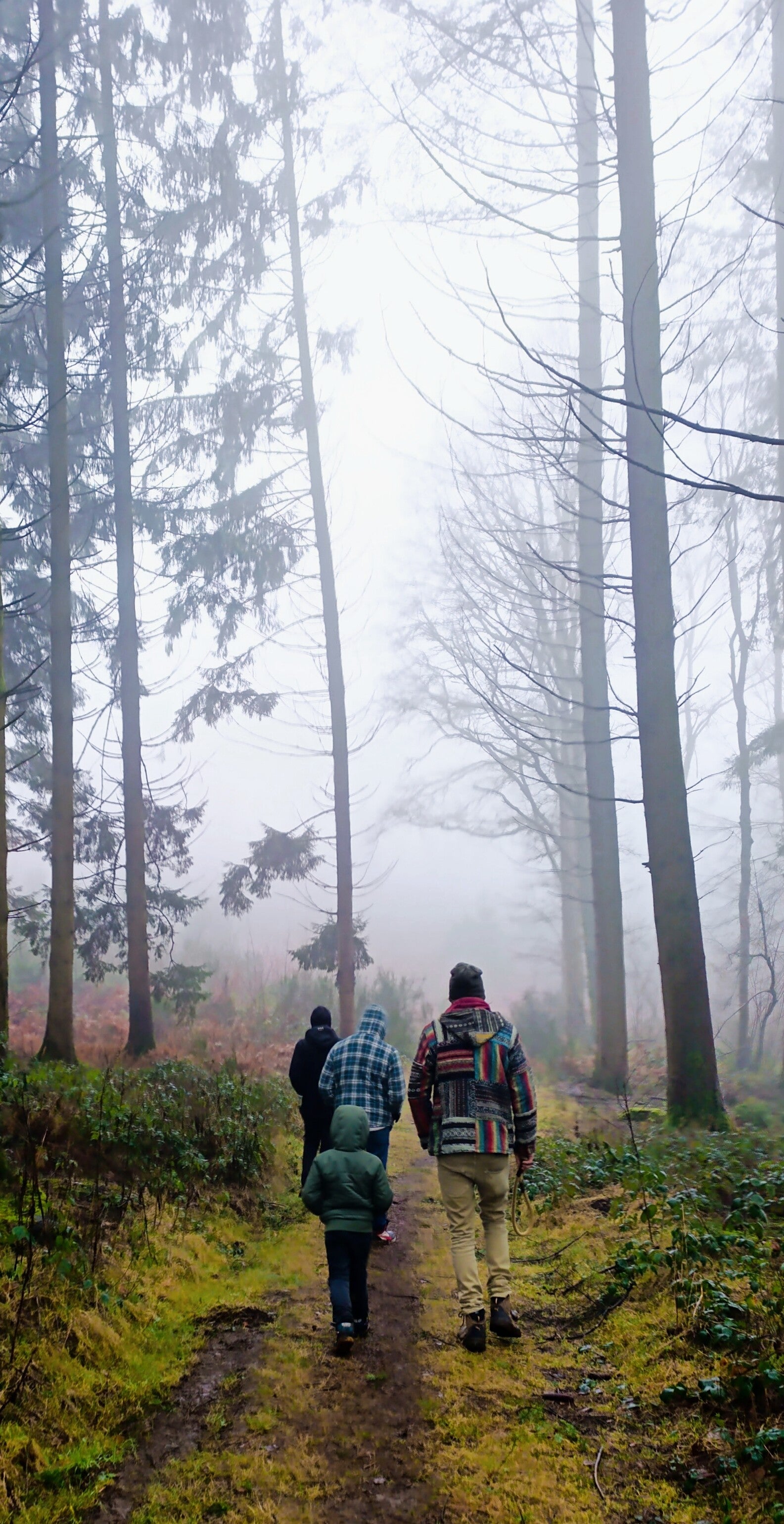 walking in the Ardennes Bohan