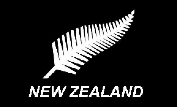 New Zealand Flag - FL1139