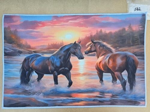 Mat 172 - 2 Horses River