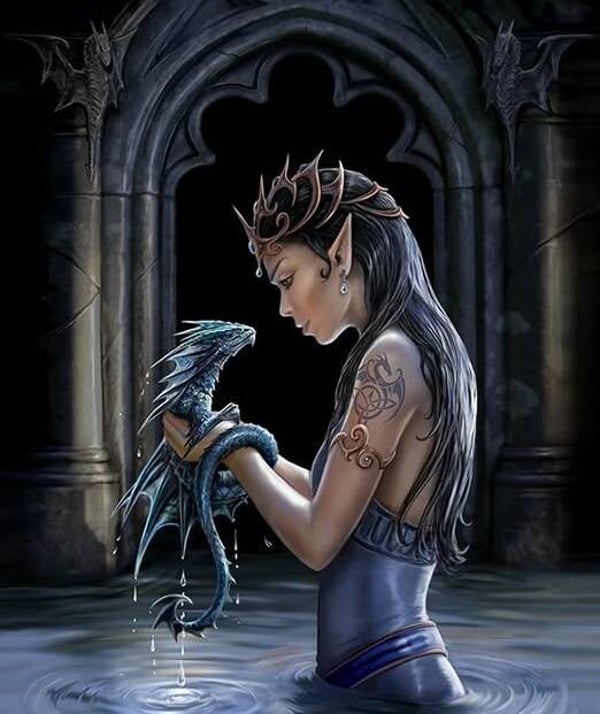 Tin Sign 899 - Anne Stokes Water Dragon