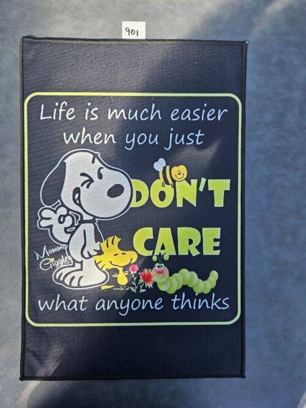 Mat 901 - Snoopy Life Is Much Easier....