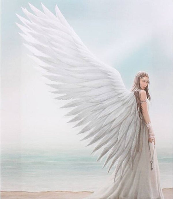 Tin Sign 913 - Anne Stokes Spirit Guide