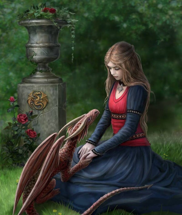 Tin Sign 914 - Anne Stokes Secret Garden