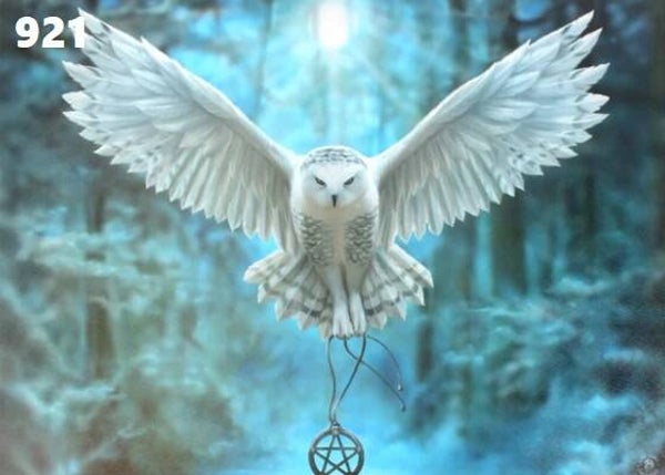 Tin Sign 921 - Anne Stokes Awaken Your Magic