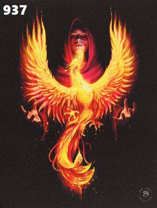 Tin Sign 937 - Anne Stokes Phoenix Rising