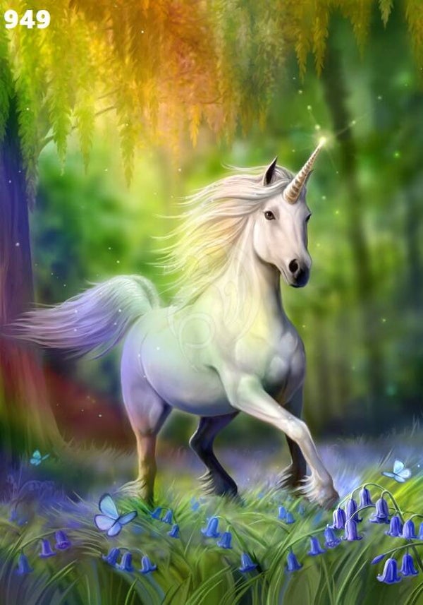 Tin Sign 949 -  Anne Stokes Chase The Rainbow