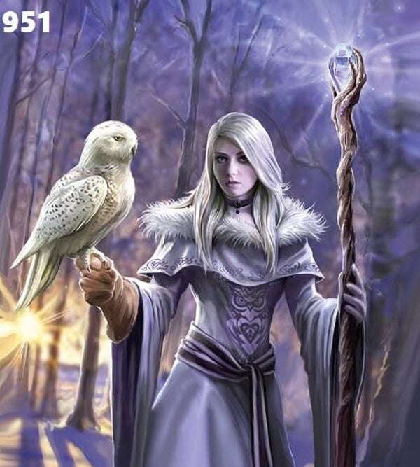 Tin Sign 951 - Anne Stokes Winter Owl