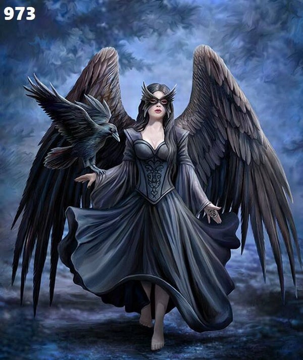 Tin Sign 973 - Anne Stokes Raven