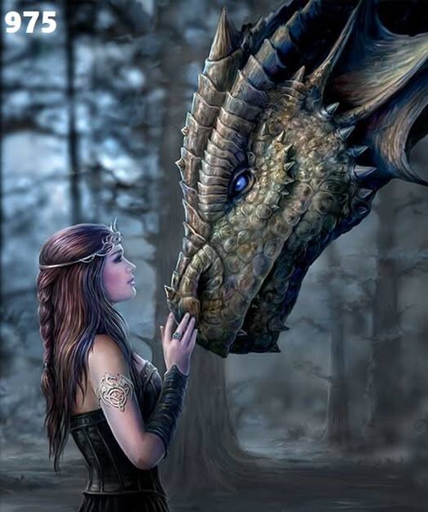 Tin Sign 975 - Anne Stokes Once Upon A Time