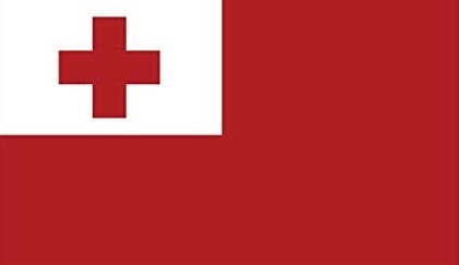 Flag FL1212 - Tonga Car Flag