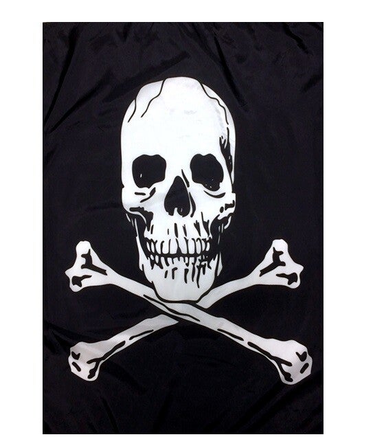 Flag FL016