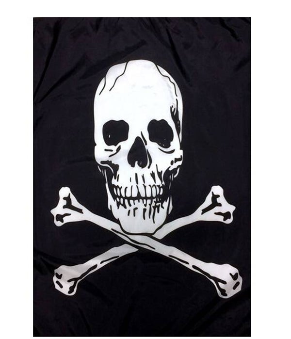 Flag FL016
