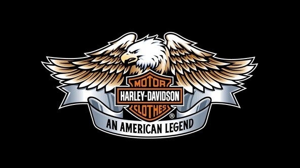 Flag FL1195 - Harley Davidson