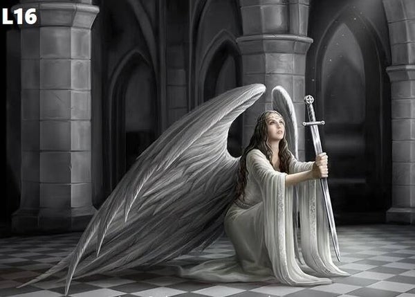 Tin Sign 40x30 L16 - Anne Stokes The Blessing