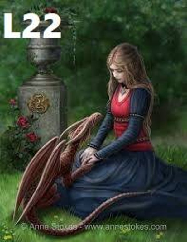 Tin Sign 40x30  L22 - Anne Stokes Secret Garden