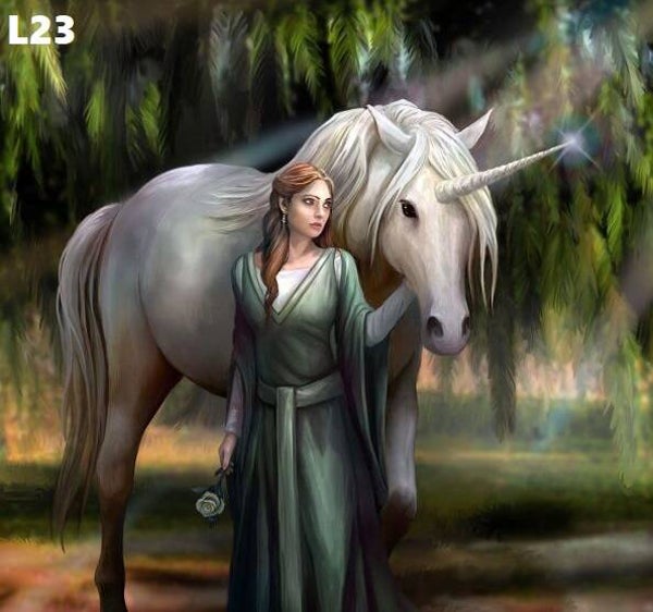 Tin Sign 40x30  L23 - Anne Stokes Everglade