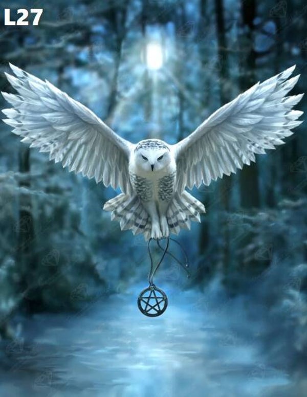 Tin Sign 40x30  L27 - Anne Stokes Awaken Your Magic