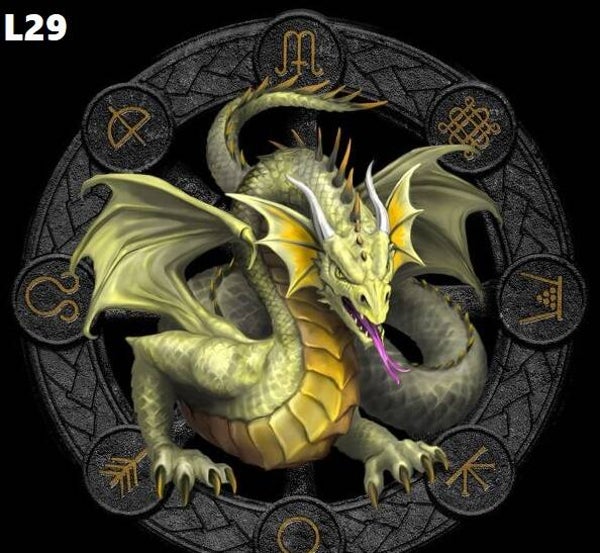 Tin Sign 40x30  L29 - Anne Stokes Mabon Dragon